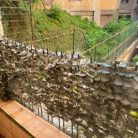 A casa rà bona crianza-2